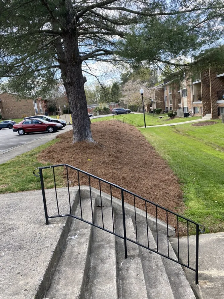 Professional lawn care service in Durham, NC by JTD green paradise landscape