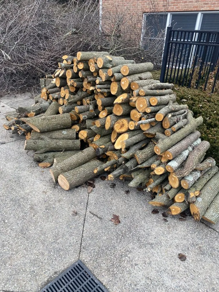 Expert lawn care service experts serving Saint Clair Shores, MI - JTH Lawn care and Landscaping