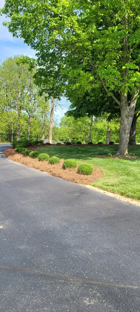 Expert outdoor landscaping in Owensboro, KY by Jthomas Lawn Care Services