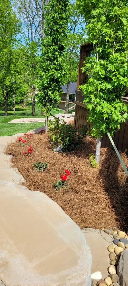 Local yard maintenance for beautiful yards in Owensboro, KY by Jthomas Lawn Care Services