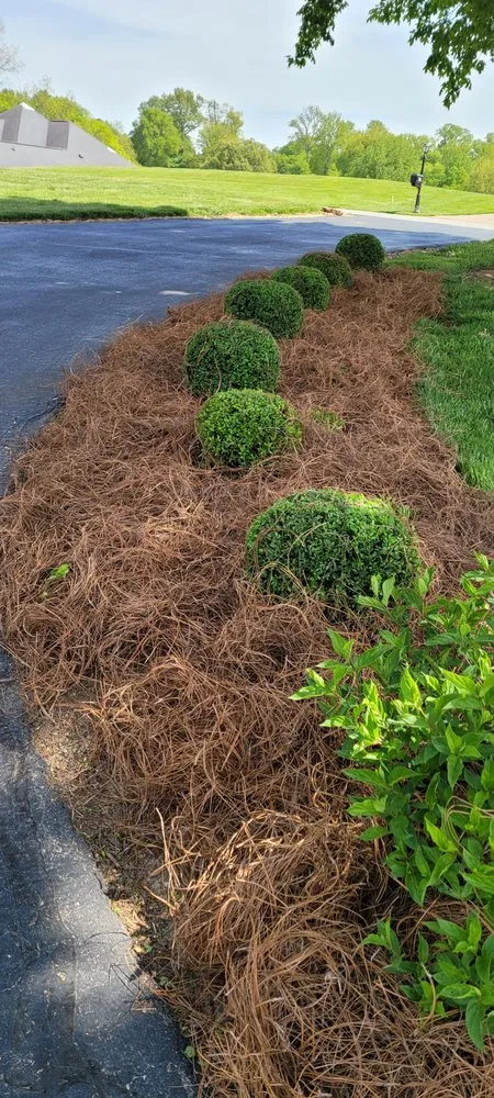 Trusted landscape design experts serving Owensboro, KY - Jthomas Lawn Care Services