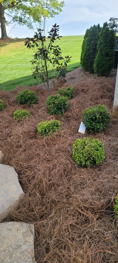 Affordable outdoor landscaping for homes across Owensboro, KY - Jthomas Lawn Care Services