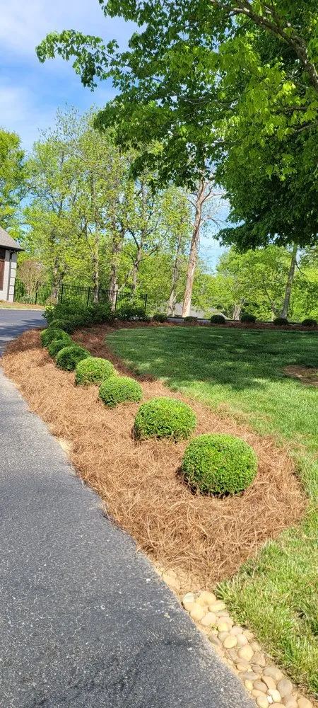 Expert yard cleanup service for year-round maintenance across Owensboro, KY - Jthomas Lawn Care Services
