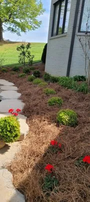 Jthomas Lawn Care Services Logo