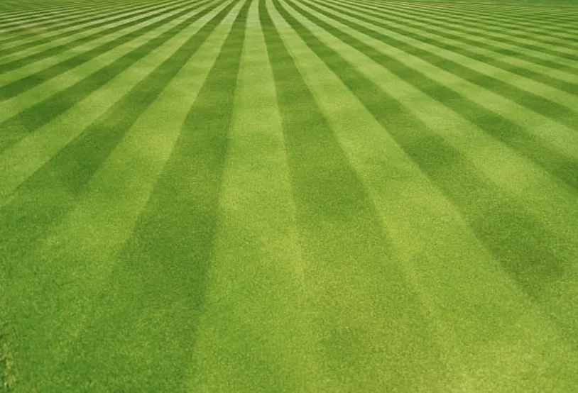 Expert landscaping services for outdoor upgrades in Middleton, MA by JTJ Landscaping