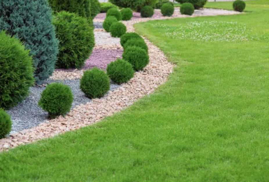 Local yard cleanup service in Middleton, MA - JTJ Landscaping