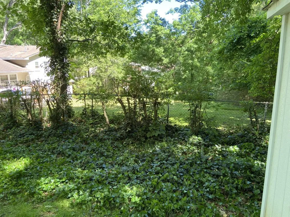 Affordable landscaping services in Hillsborough, NC - JTJ Lawn & Home Service