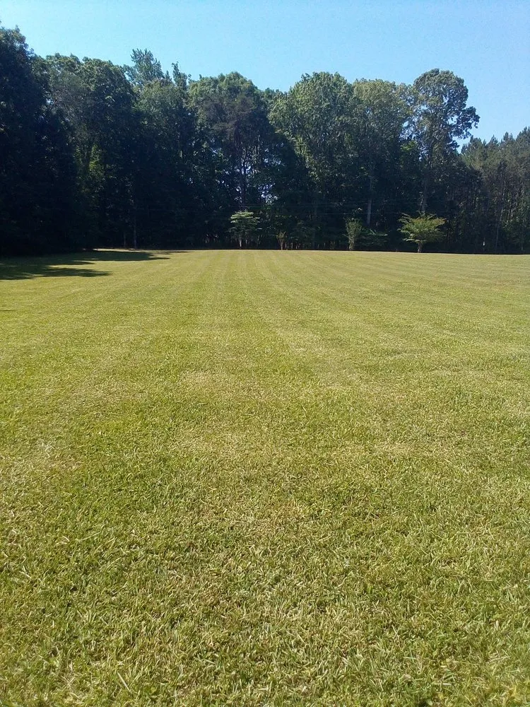 Professional yard cleanup service in Hillsborough, NC by JTJ Lawn & Home Service