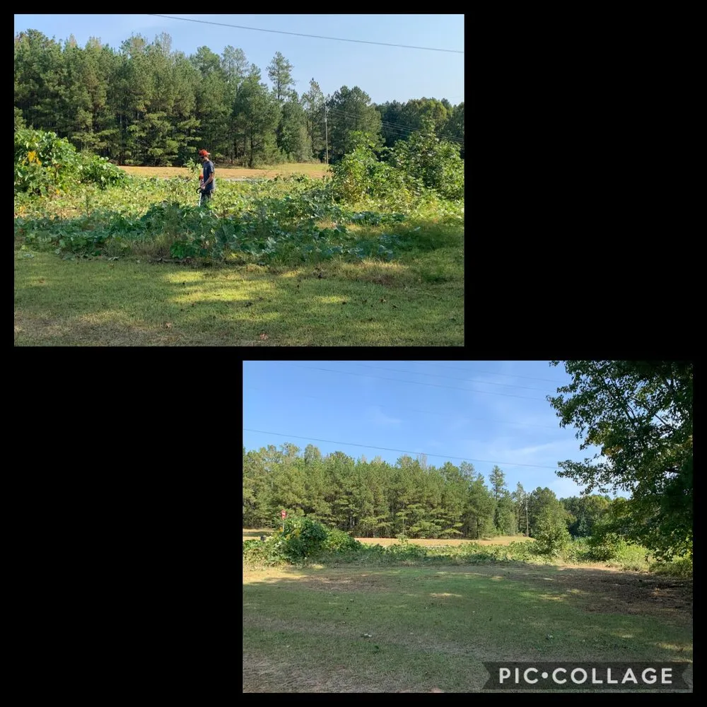 Local lawn mowing service with custom design in Wilsonville, AL by J.T.K Landscaping