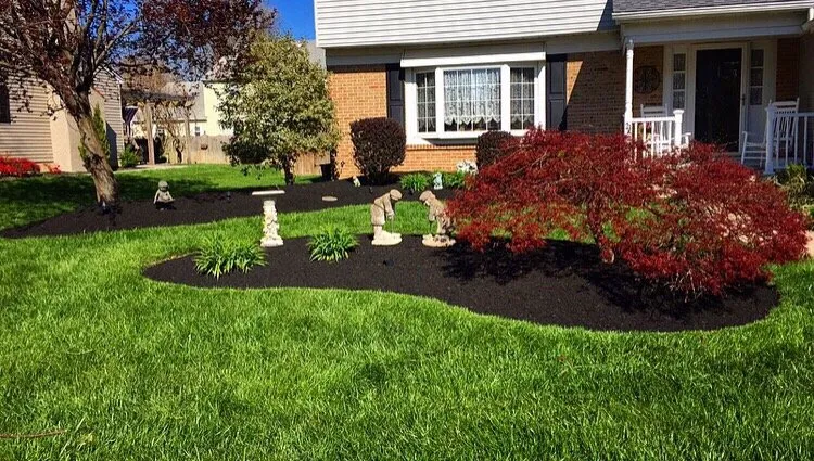 Reliable yard cleanup service in Marlton, NJ - JTK Property Management