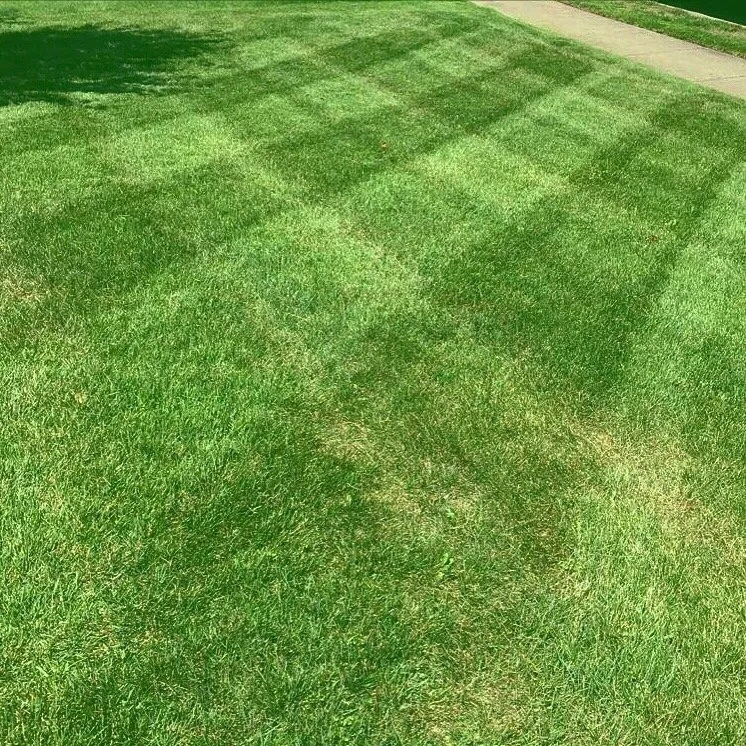 Professional lawn care service in Marlton, NJ - JTK Property Management