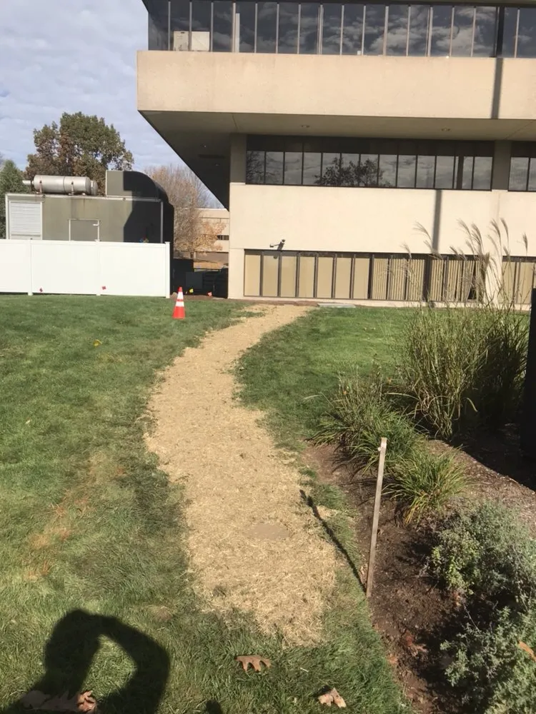 Professional yard cleanup service experts serving Meriden, CT - JTL Landscape Solutions