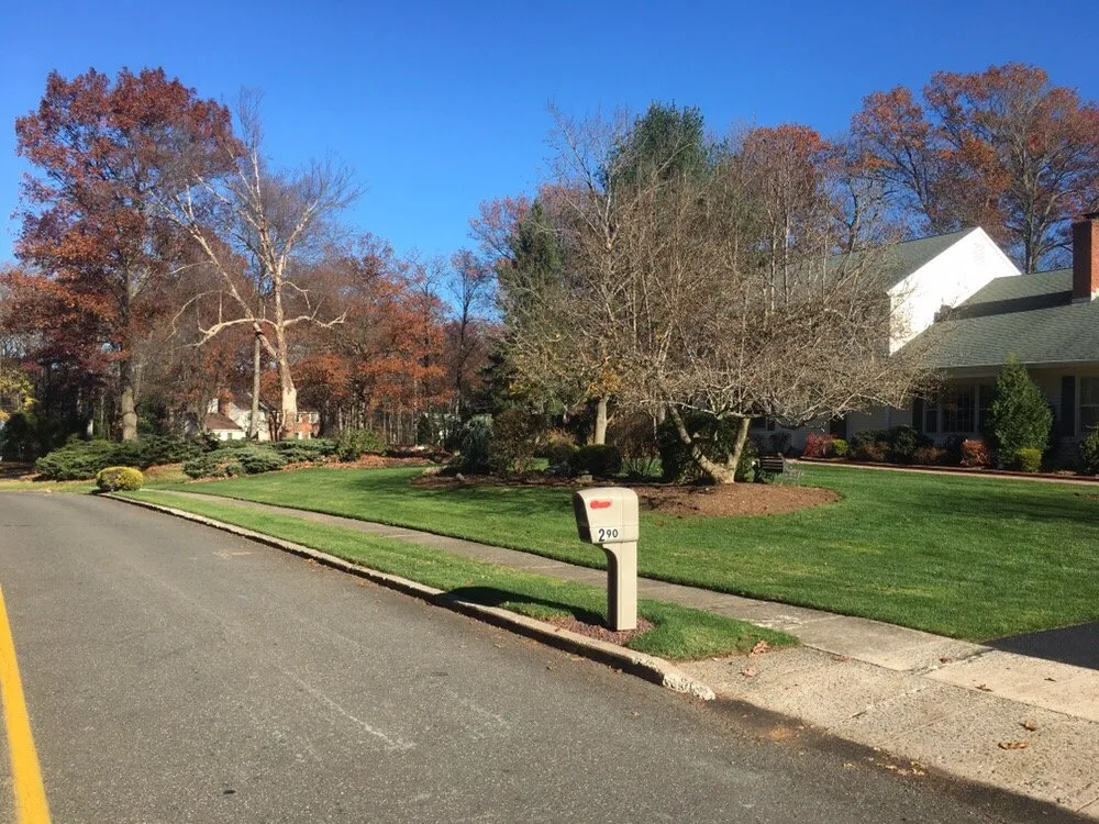 Affordable yard cleanup service in Meriden, CT by JTL Landscape Solutions