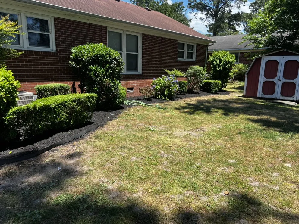 Reliable lawn care service for year-round maintenance across Suffolk, VA - Jtm Cozy Lawn