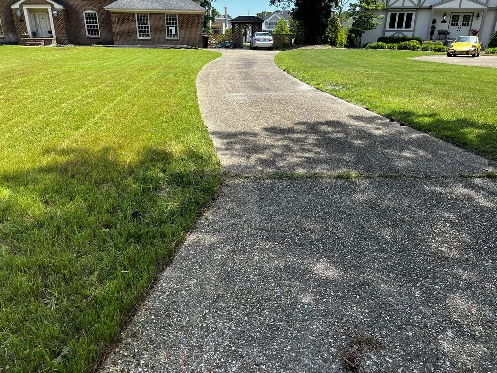 Affordable yard cleanup service experts serving Suffolk, VA - Jtm Cozy Lawn