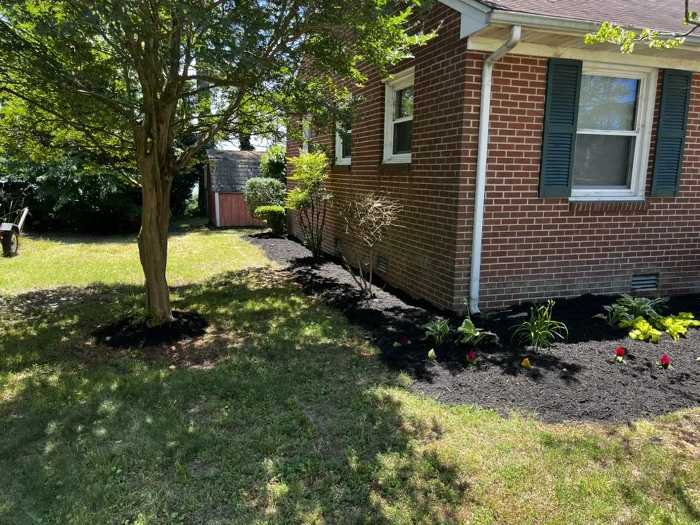 Expert yard maintenance experts serving Suffolk, VA - Jtm Cozy Lawn