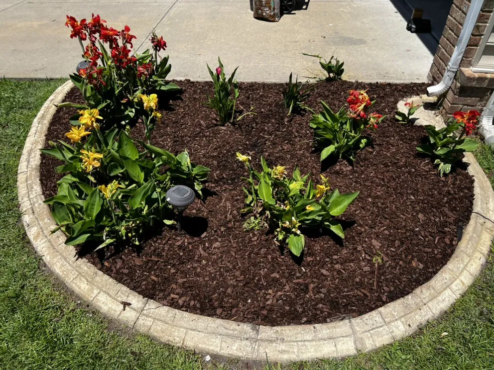 Custom lawn mowing service with custom design across Suffolk, VA - Jtm Cozy Lawn