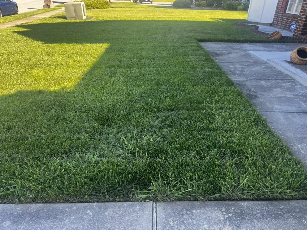 Custom outdoor landscaping for year-round maintenance across Suffolk, VA - Jtm Cozy Lawn