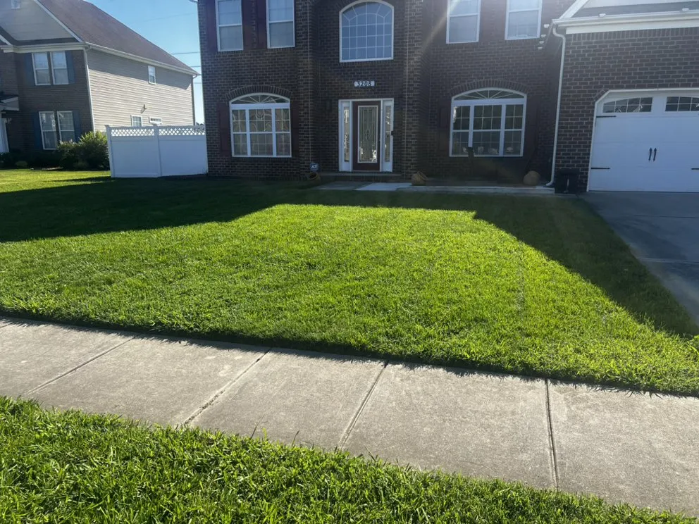 Local landscaping services for year-round maintenance across Suffolk, VA - Jtm Cozy Lawn