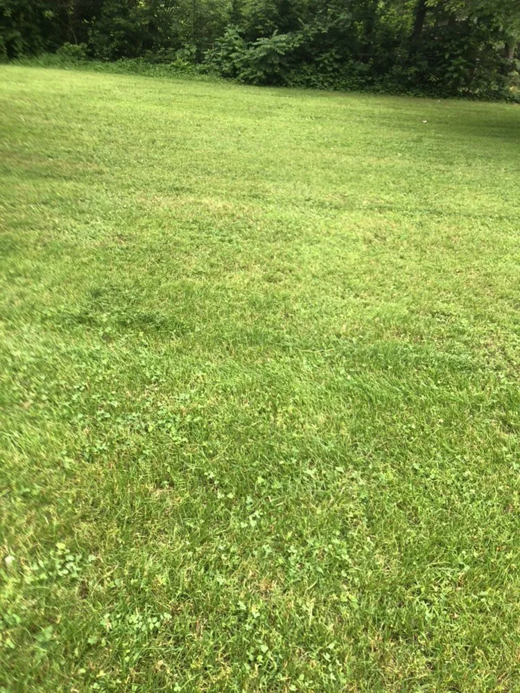 Custom outdoor landscaping in Monticello, IN by JTM Lawncare