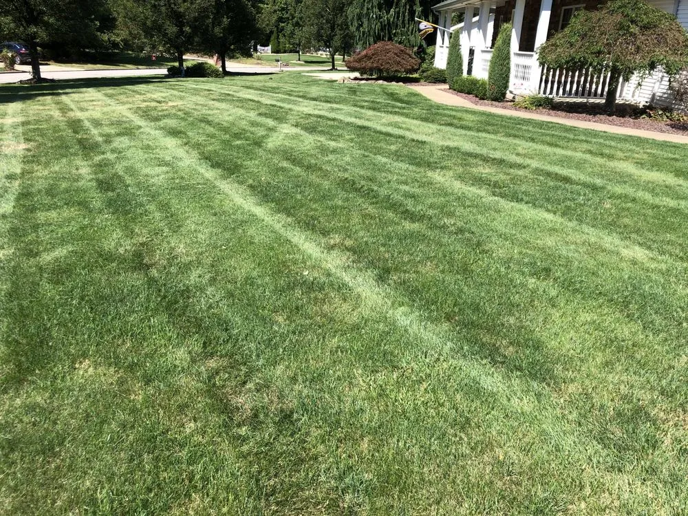 Local yard maintenance experts serving Poland, OH - JTR Lawn and Landscape