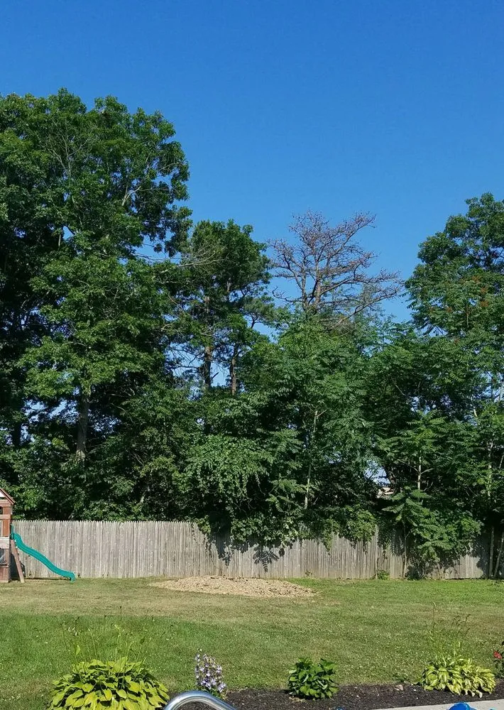 Affordable yard maintenance for residential properties across Centereach, NY - JTree Services