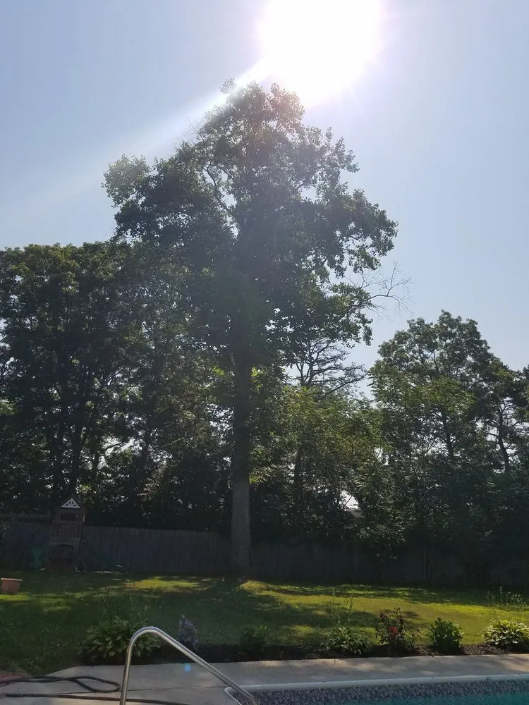 Expert outdoor landscaping near you across Centereach, NY - JTree Services