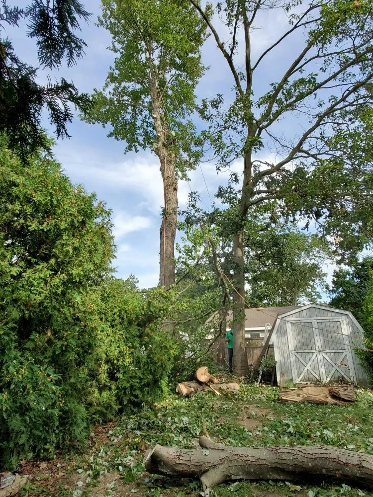 Trusted lawn mowing service for year-round maintenance in Centereach, NY by JTree Services