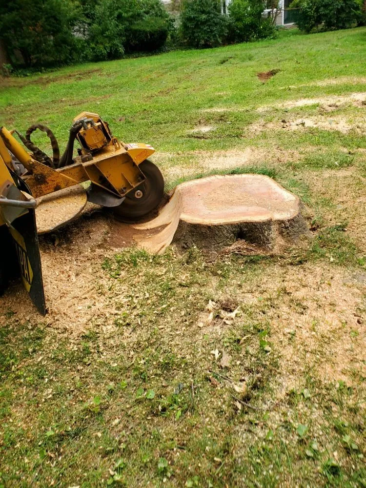 Top-rated residential landscaping in Centereach, NY by JTree Services