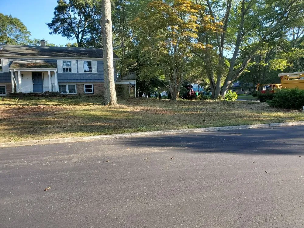 Custom landscape installation for outdoor upgrades across Centereach, NY - JTree Services