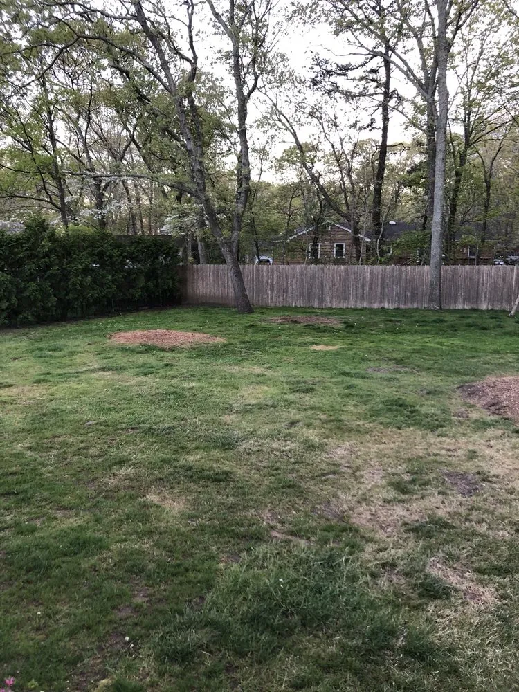 Reliable lawn mowing service for beautiful yards across Centereach, NY - JTree Services