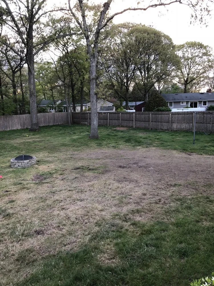 Reliable yard maintenance in Centereach, NY by JTree Services