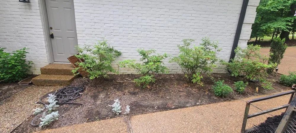 Professional lawn care service for beautiful yards across counce, TN - JT's Home Maintainance