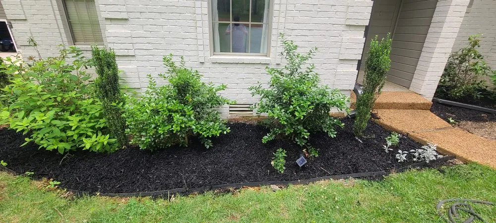 Local outdoor landscaping in counce, TN - JT's Home Maintainance