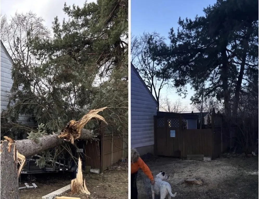 Professional garden landscaping for residential properties across Waterford Township, MI - JT's Landscape Maintenance