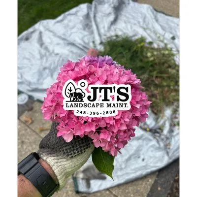 JT's Landscape Maintenance