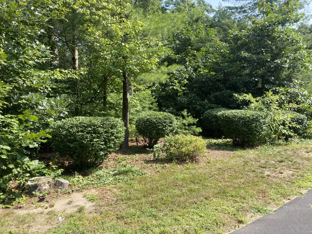 Reliable residential landscaping for residential properties in Southampton, MA by JTs Landscaping & Excavation