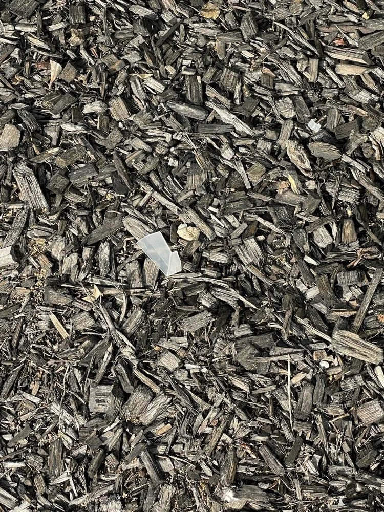 Professional landscape design in Wake Forest, NC by JT's Landscaping and Lawncare