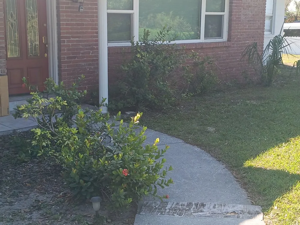 Professional landscape installation experts serving Eloise, FL - JTS Landscaping and Pressure Washing