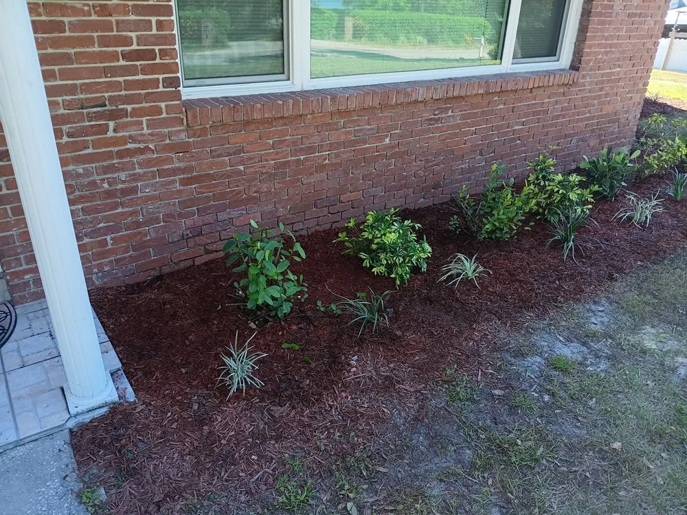 Affordable landscaping services in Eloise, FL by JTS Landscaping and Pressure Washing