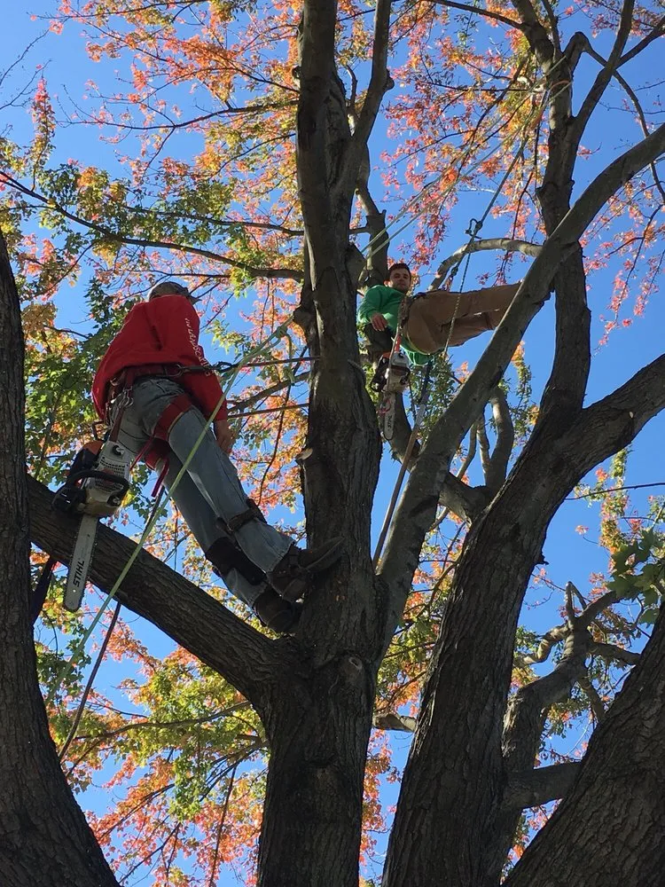 Top-rated landscaping services for beautiful yards across Drexel Hill, PA - JTS Landscaping