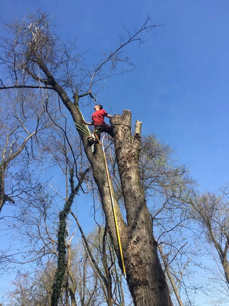 Reliable landscape installation for beautiful yards across Drexel Hill, PA - JTS Landscaping