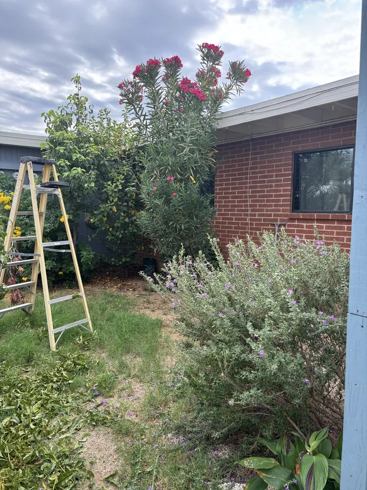 Custom residential landscaping for year-round maintenance across Marana, AZ - JT’s Landscaping