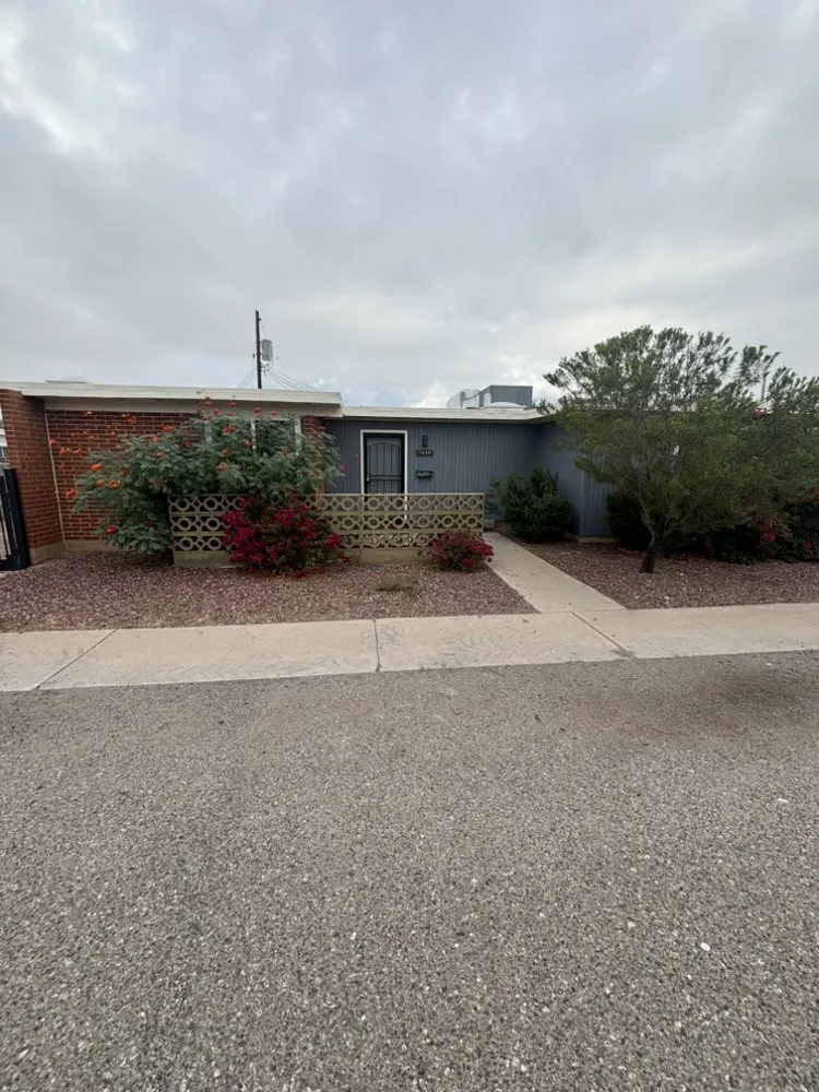 Custom yard maintenance experts serving Marana, AZ - JT’s Landscaping