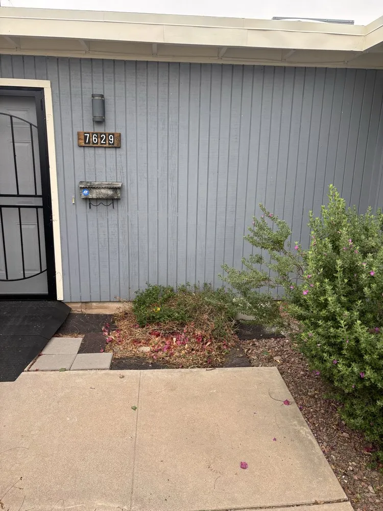 Trusted landscape design for residential properties in Marana, AZ by JT’s Landscaping