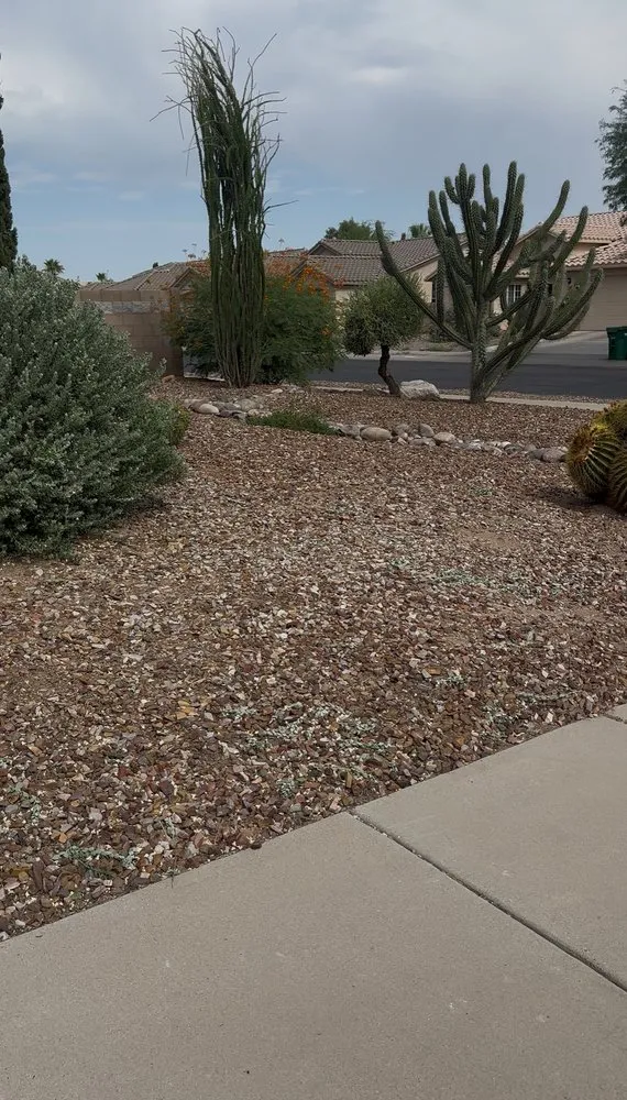 Custom yard cleanup service experts serving Marana, AZ - JT’s Landscaping