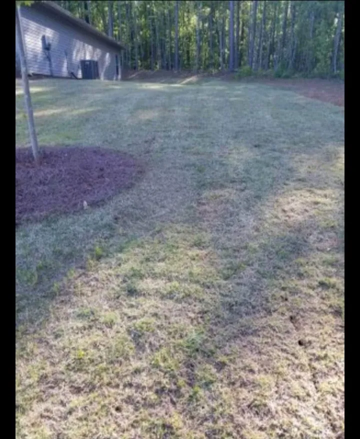 Affordable landscaping services experts serving Villa Rica, GA - JT's Lawn & Maintenance