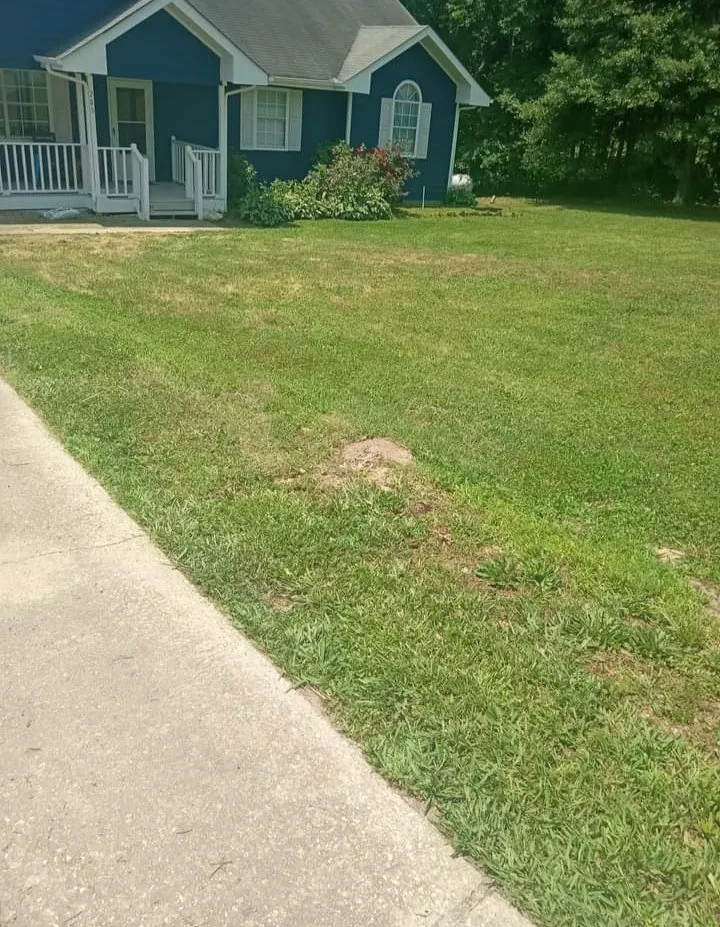 Expert landscape design experts serving Villa Rica, GA - JT's Lawn & Maintenance