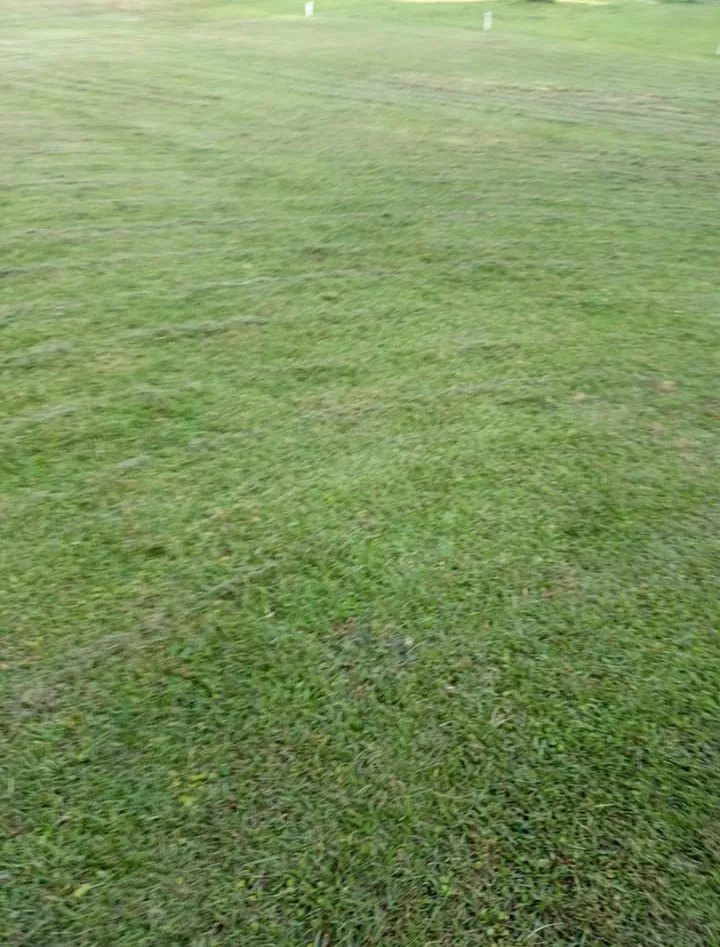 Top-rated yard cleanup service in Villa Rica, GA by JT's Lawn & Maintenance