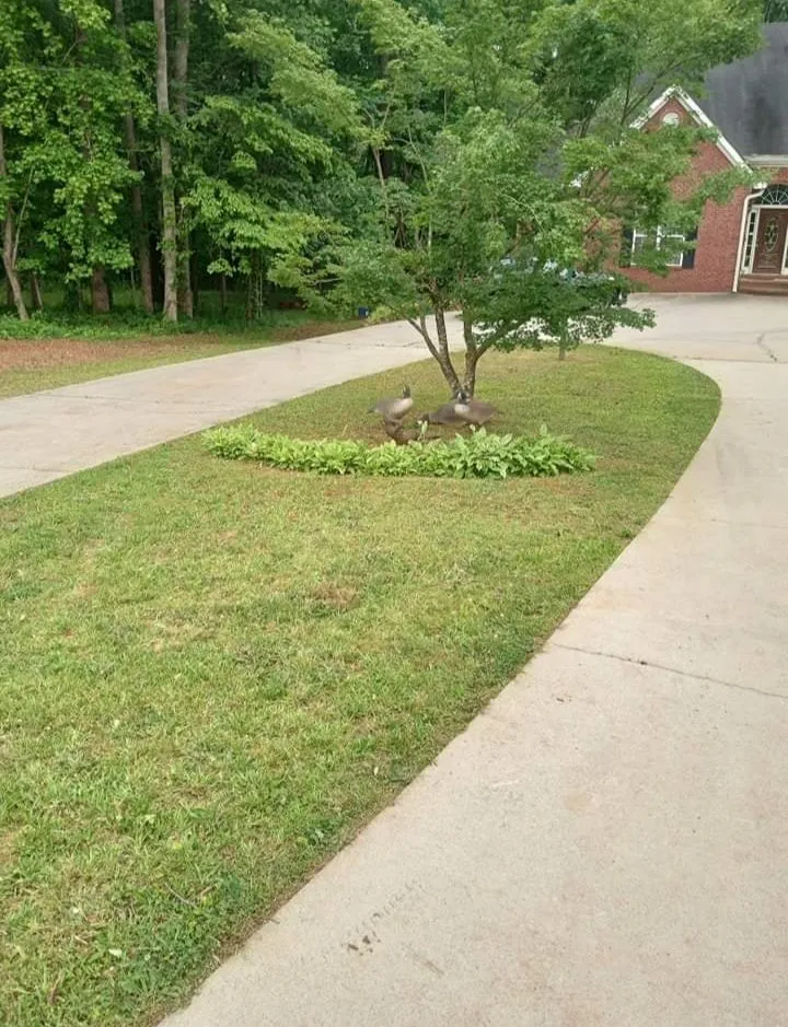 Trusted yard maintenance in Villa Rica, GA - JT's Lawn & Maintenance